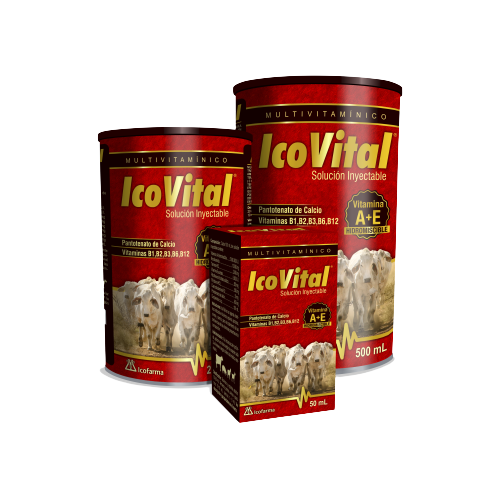 IcoVital